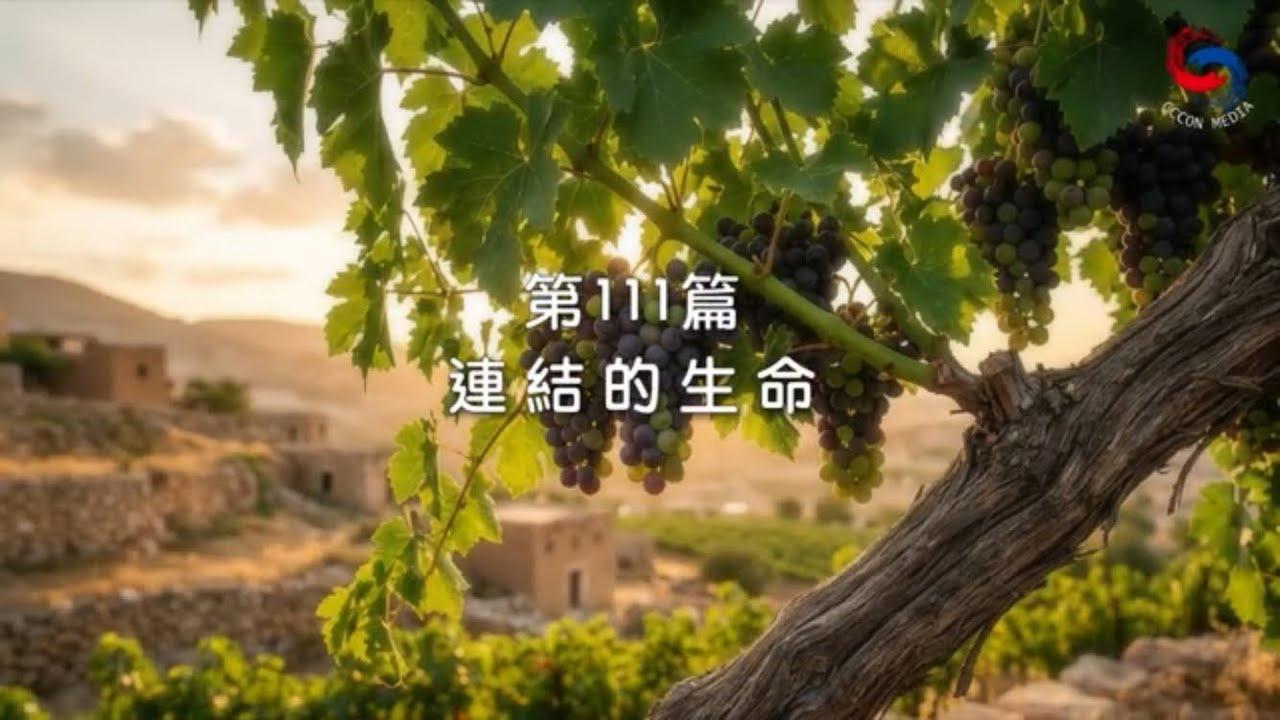 (粵語)【新約啟滴】4月21日 連結的生命